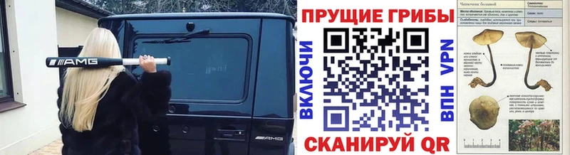 Галлюциногенные грибы ЛСД  мориарти наркотические препараты  Хвалынск 